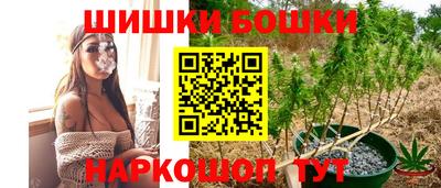 тгк Славгород
