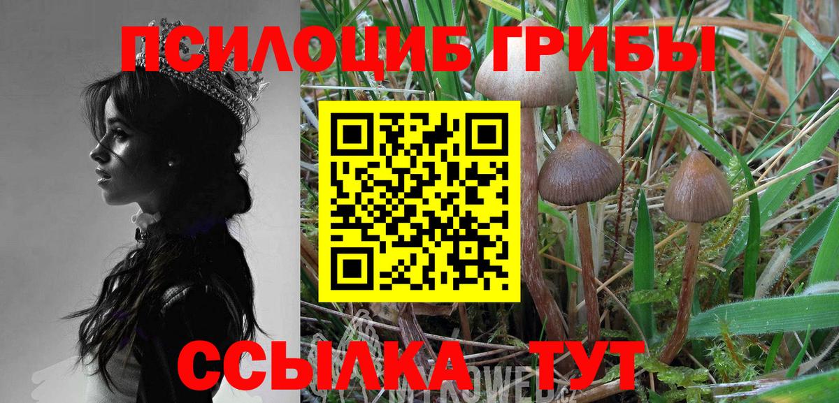 Галлюциногенные грибы Cubensis Москва