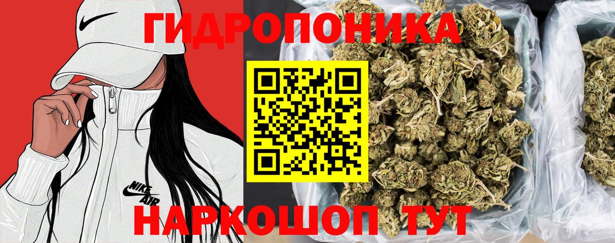 Канабис план Москва